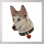 Ausky Dog Pawprint Heart