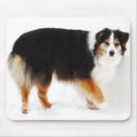 Aussie in the Snow Mouse Pads