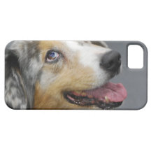 Aussie iPhone 5 Cover