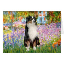 Aussie Shep 2 - Garden Card