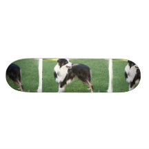 Aussie Shepherd  Skateboard
