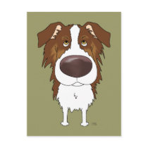 Aussies - Big Nose and Butt
