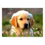 Austin Golden Labrador Puppy Business Card Template