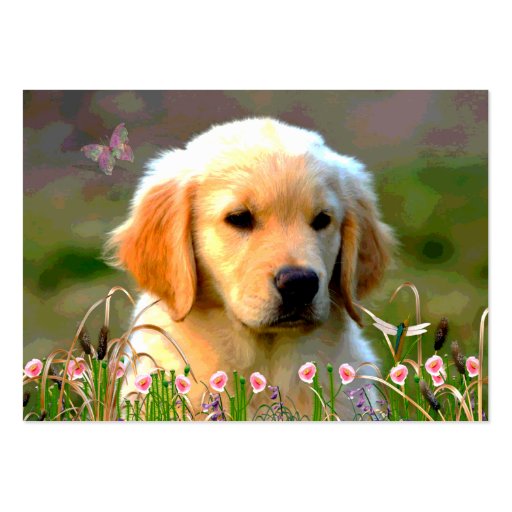 Austin Golden Labrador Puppy Business Card Template