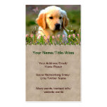 Austin Golden Labrador Puppy Business Cards