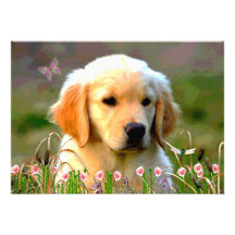 Austin Golden Labrador Puppy Custom Announcements