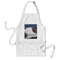 Austin Texas Aprons