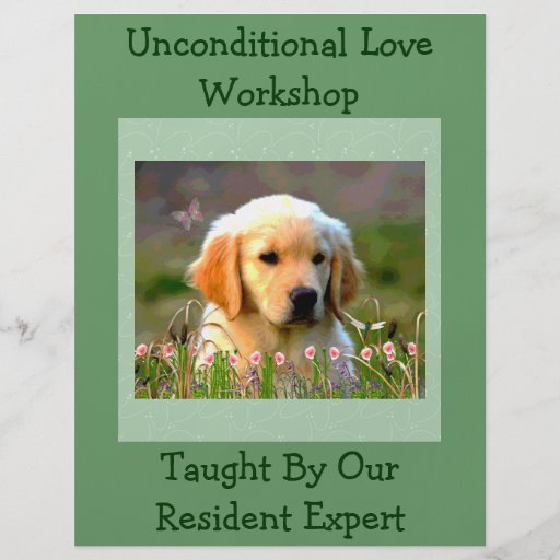 Austin The Golden Labrador Custom Flyer