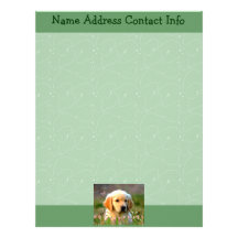 Austin The Golden Labrador Letterhead