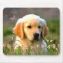 Austin The Golden Labrador Mouse Pad