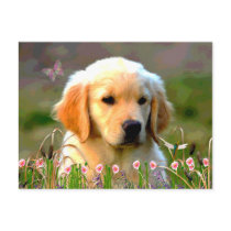 Austin The Golden Labrador Postcard