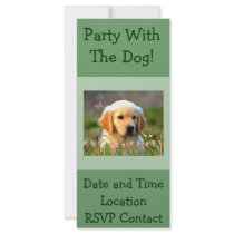 Austin The Golden Labrador Full Color Rack Card