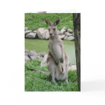 Australia Beckons Cards