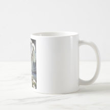 Australia Koala Bear Coffee Mugs