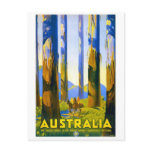 Australia - Vintage Travel Postcard
