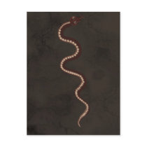 Australian Aboriginal Desert Snake Art Postcard