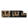 Australian Barn Owl Portrait Bumper Stickers