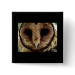 Australian Barn Owl Portrait Pins
