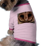 Australian Barn Owl Portrait Pet Clothes