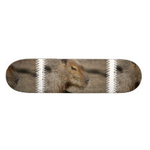 Australian Capybara Skateboard