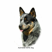 Australian Cattle Dog 9F061D-05 Photo Cutout