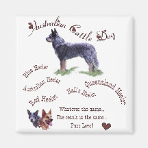 Australian Cattle Dog Art Gifts Fridge Magnet