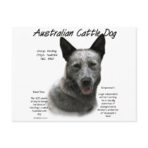 Australian Cattle Dog (blue) History Design