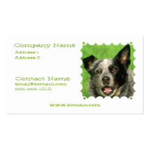 Australian Cattle Dog Business Card