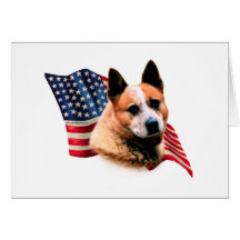 Australian Cattle Dog Flag Card