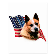 Australian Cattle Dog Flag Post Cards