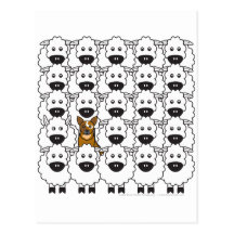 Australian Cattle Dog in the Sheep Post Card