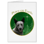 Australian Cattle Dog Peace Cards