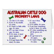 AUSTRALIAN CATTLE DOG Property Laws 2 Cards
