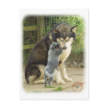 Australian Cattle Dog pup with Alaskan Malamute Post Cards