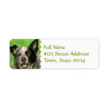 Australian Cattle Dog Return Address Label