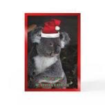 AUSTRALIAN Christmas koala xmas Christmas animals