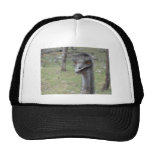 Australian Emu Hat