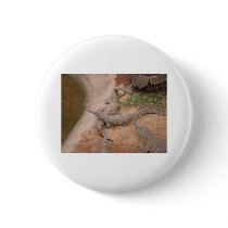 Australian Freshwater Crocodile Pin