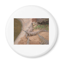 Australian Freshwater Crocodile Fridge Magnets