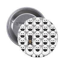 Australian Kelpie in the Sheep Buttons