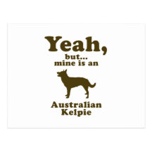 Australian Kelpie Post Cards
