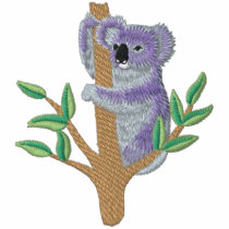 Australian Koala