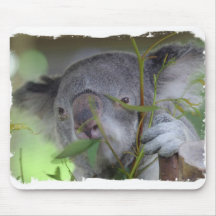 Australian Koala Mouse Pad