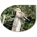 Australian Kookaburra - Offset Design Cut Outs