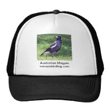 Australian Magpie Hat
