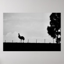 Australian Outback - Emu Posters