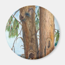 Australian Pine Fridge Magnet
