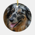 Australian Shepherd Classic Photo Ornament