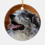 Australian Shepherd Classic Photo Ornament