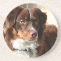 Australian Shepherd Coaster